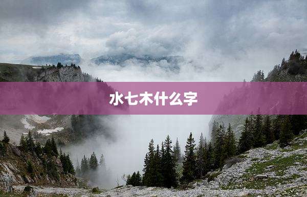 水七木什么字
