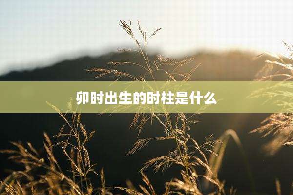 卯时出生的时柱是什么