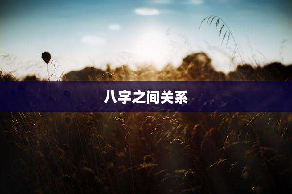 八字之间关系