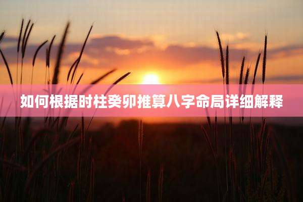 如何根据时柱癸卯推算八字命局详细解释
