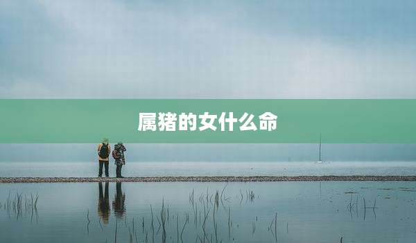 属猪的女什么命
