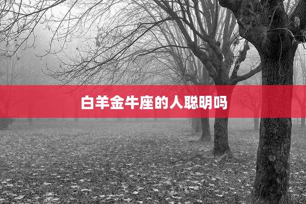 白羊金牛座的人聪明吗