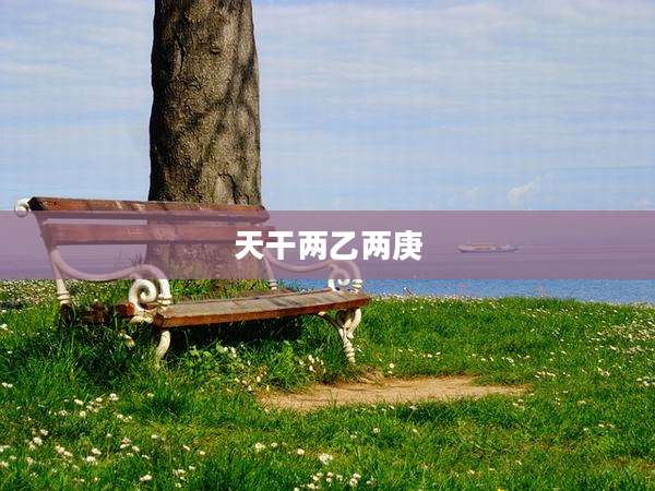 天干两乙两庚