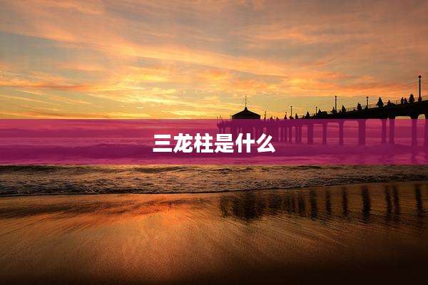 三龙柱是什么