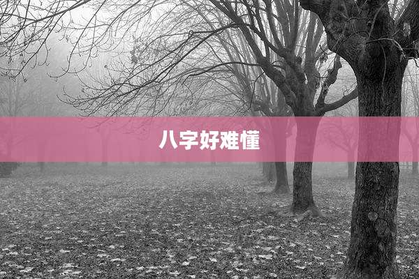 八字好难懂