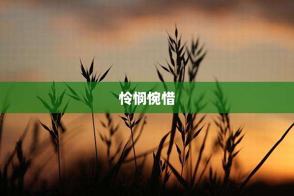 怜悯惋惜