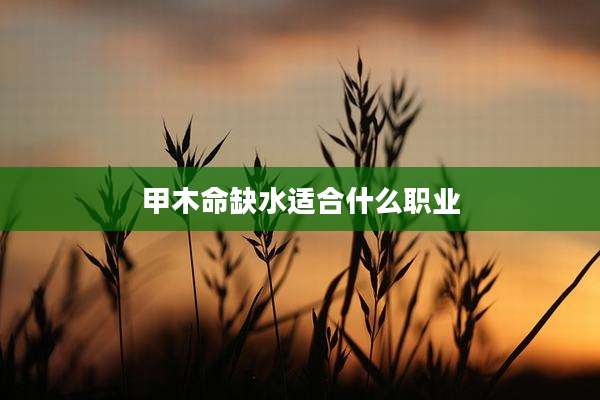 甲木命缺水适合什么职业