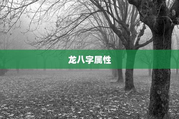 龙八字属性