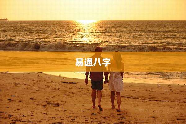 易通八字