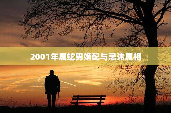 2001年属蛇男婚配与忌讳属相