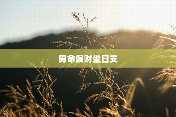 男命偏财坐日支