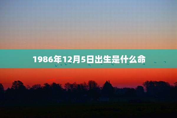 1986年12月5日出生是什么命