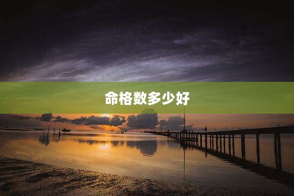 命格数多少好