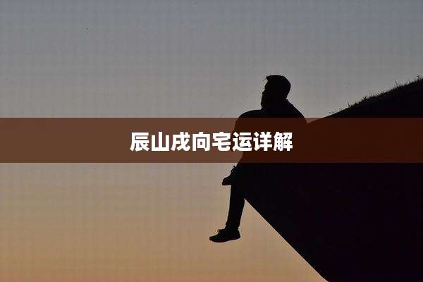 辰山戌向宅运详解