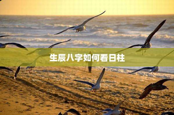生辰八字如何看日柱