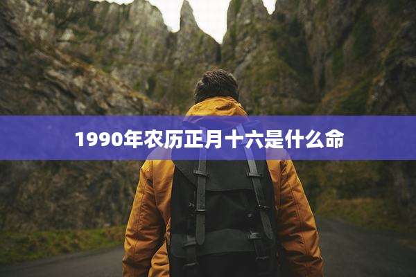 1990年农历正月十六是什么命