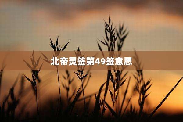 北帝灵签第49签意思