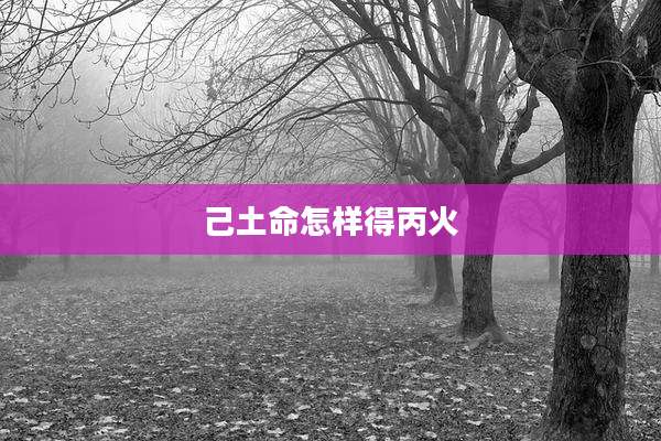 己土命怎样得丙火