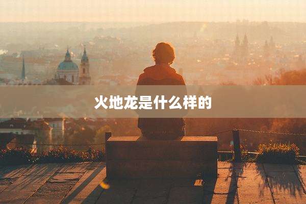 火地龙是什么样的