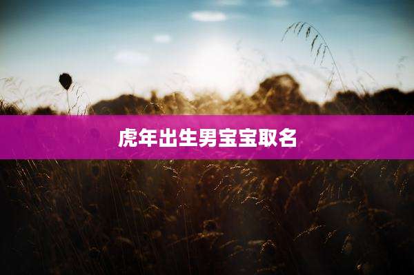 虎年出生男宝宝取名