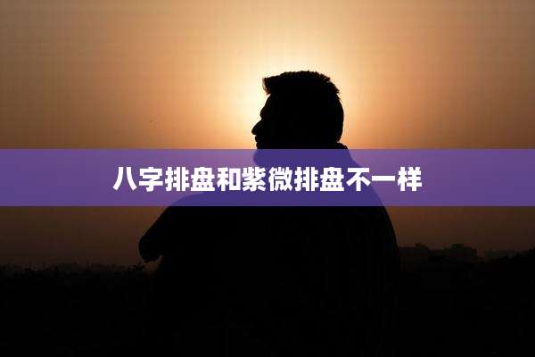 八字排盘和紫微排盘不一样