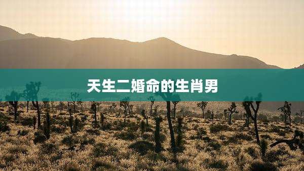 天生二婚命的生肖男