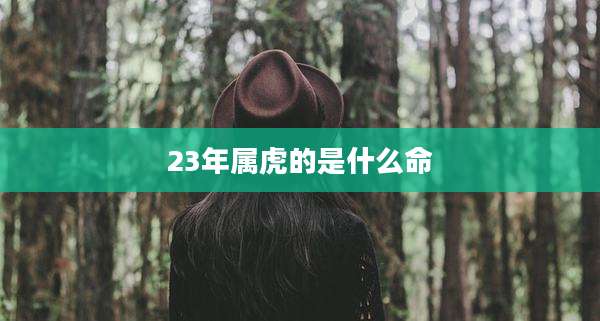 23年属虎的是什么命