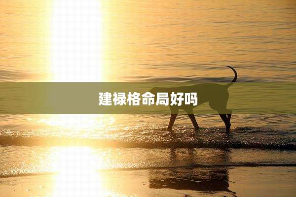 建禄格命局好吗