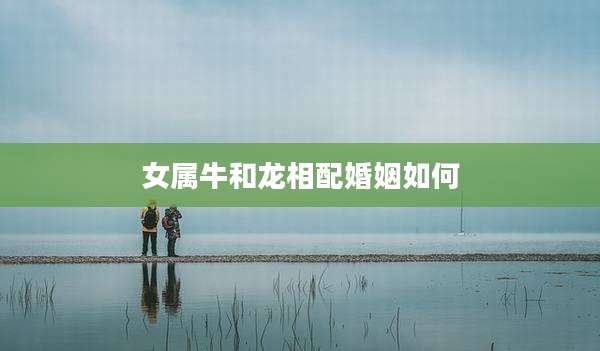 女属牛和龙相配婚姻如何