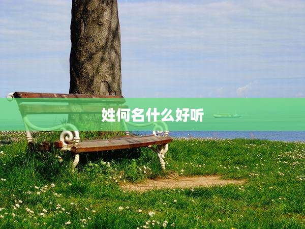 姓何名什么好听