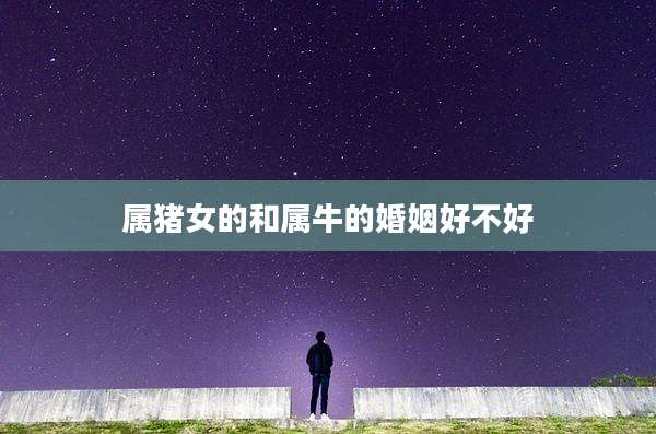 属猪女的和属牛的婚姻好不好