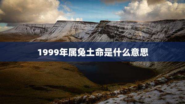 1999年属兔土命是什么意思