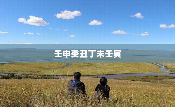 壬申癸丑丁未壬寅