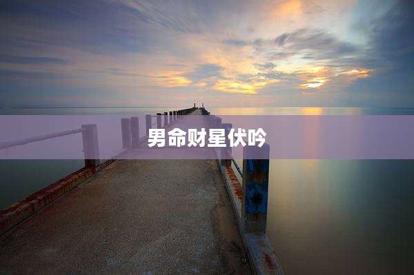 男命财星伏吟
