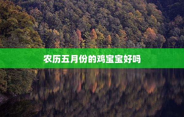农历五月份的鸡宝宝好吗