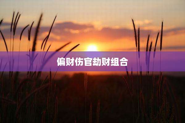 偏财伤官劫财组合