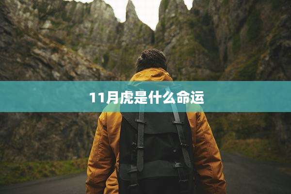 11月虎是什么命运