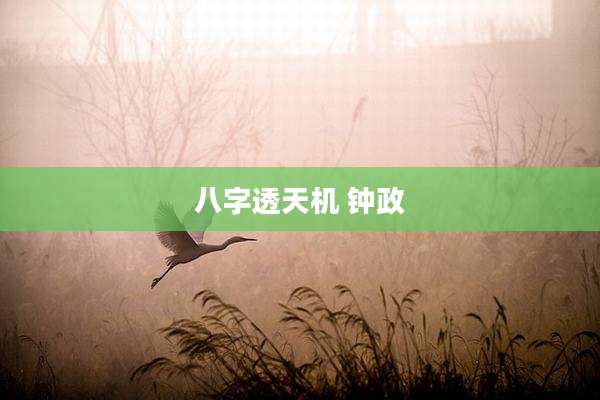 八字透天机 钟政