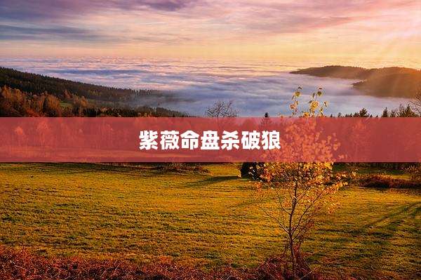 紫薇命盘杀破狼