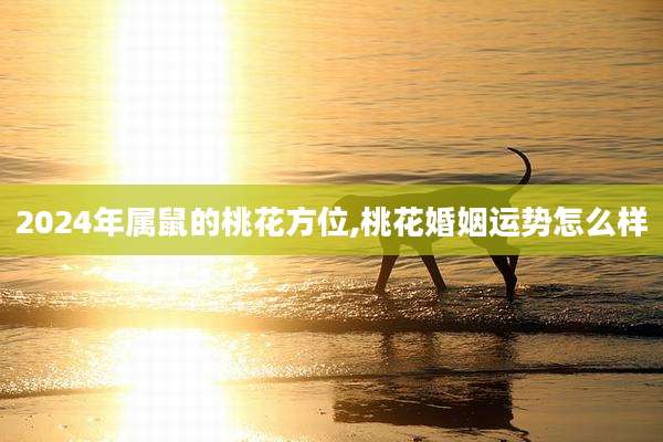 2024年属鼠的桃花方位,桃花婚姻运势怎么样