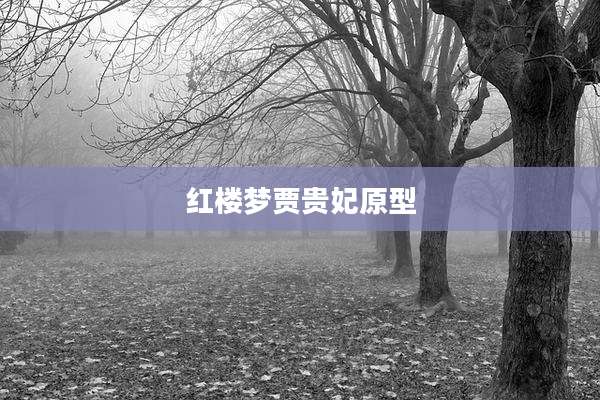 红楼梦贾贵妃原型