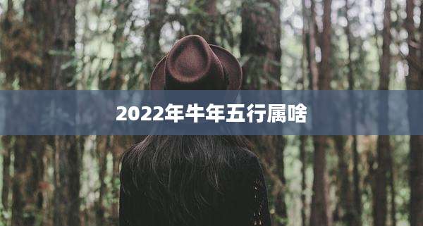 2022年牛年五行属啥