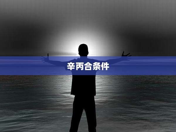 辛丙合条件