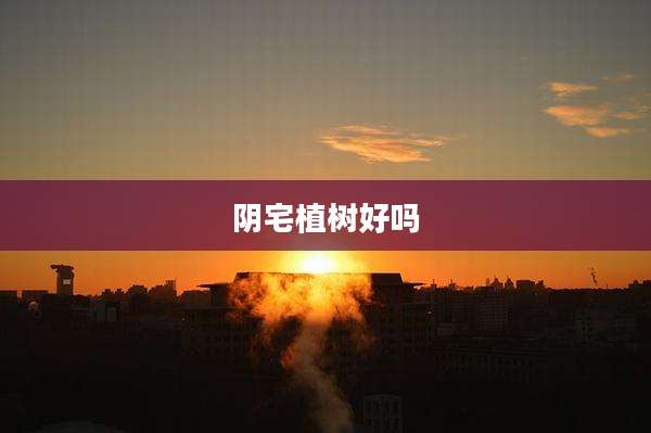 阴宅植树好吗