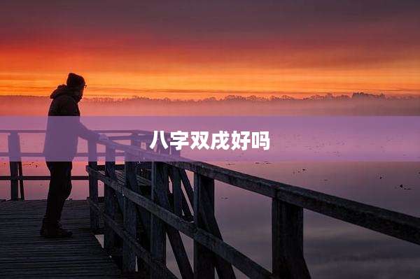 八字双戌好吗