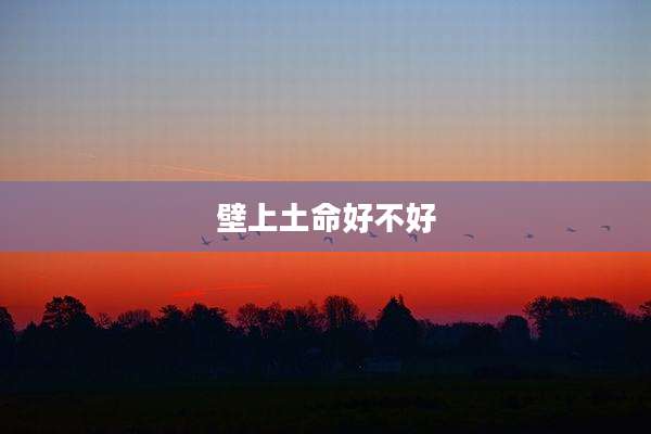 壁上土命好不好