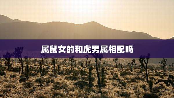 属鼠女的和虎男属相配吗