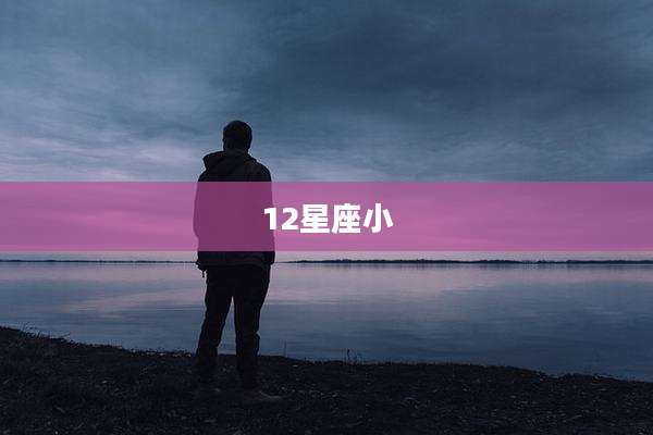 12星座小