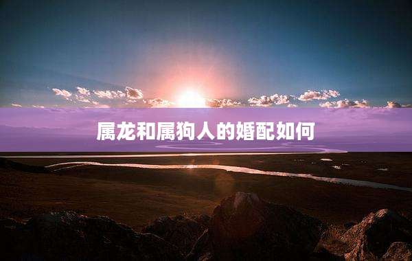 属龙和属狗人的婚配如何