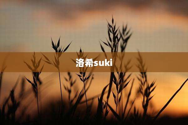 洛希suki